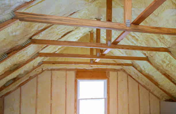 Best Garage Insulation Installation  in Lino Lakes, MN