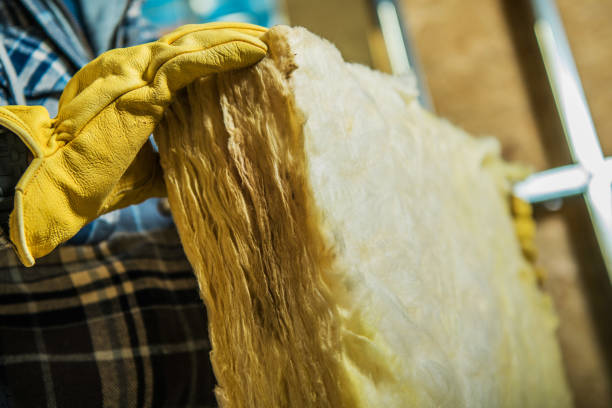 Best Blown-in Insulation  in Lino Lakes, MN