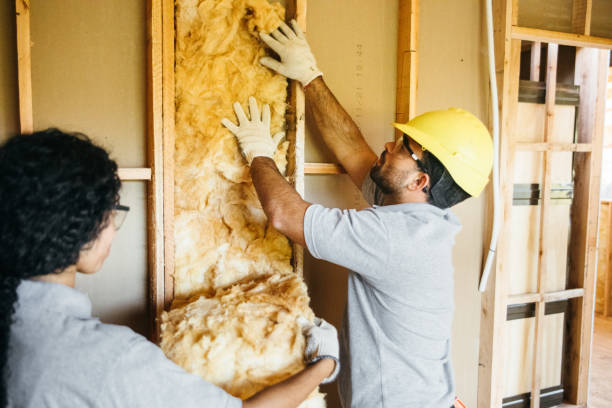 Best Insulation Removal  in Lino Lakes, MN